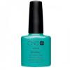 Shellac CND Hotski to Tchotchke